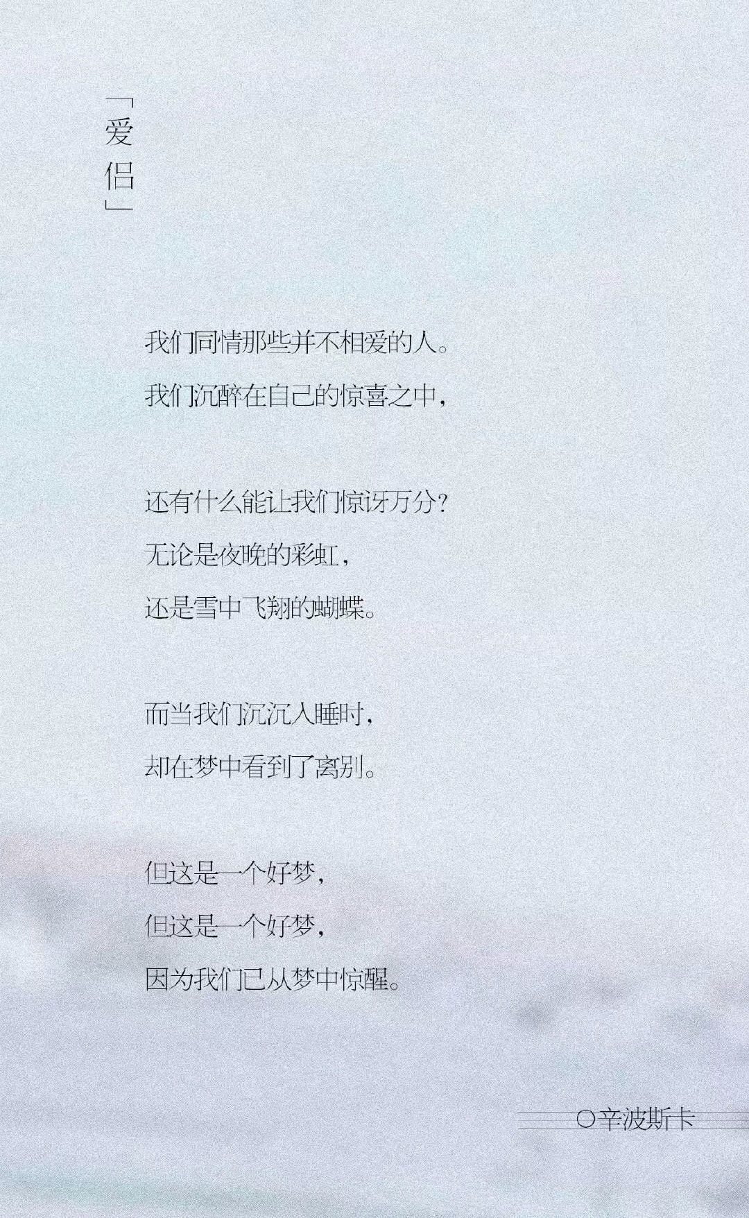 辛波斯卡的诗精选，不容错过丫