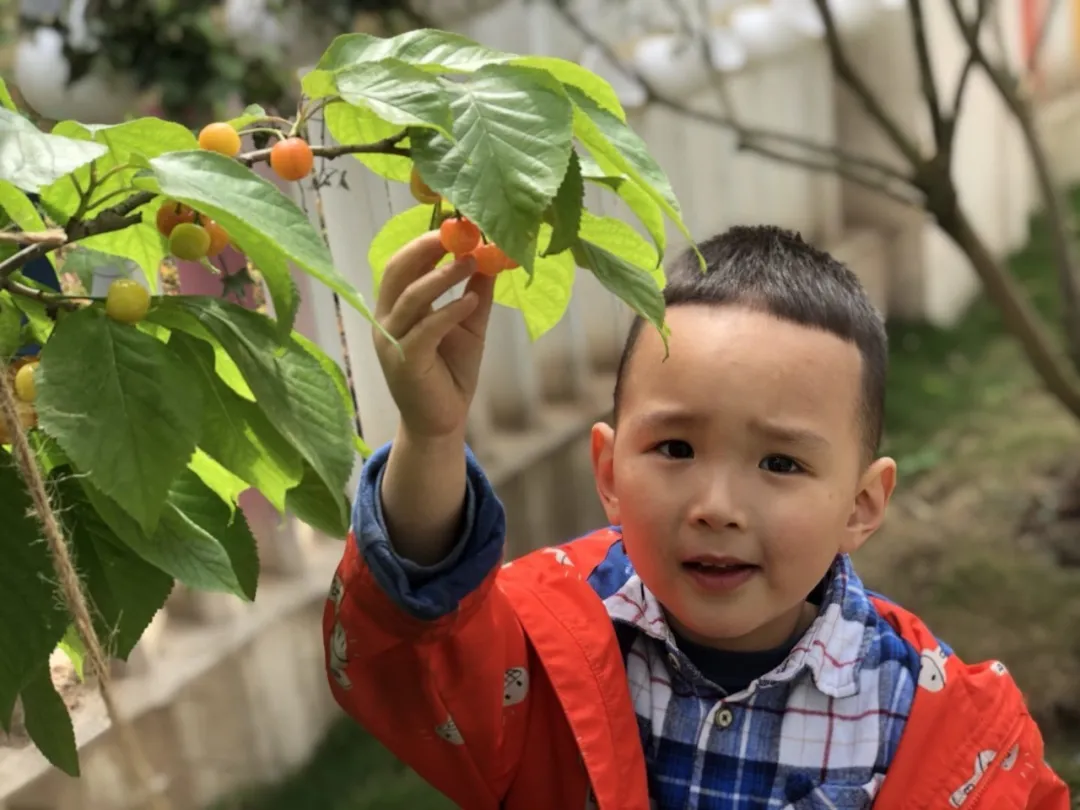 寻春丨 四川天府新区元音幼儿园组织踏春活动