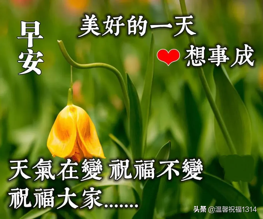 早上好唯美问候语 早安祝福语漂亮图片