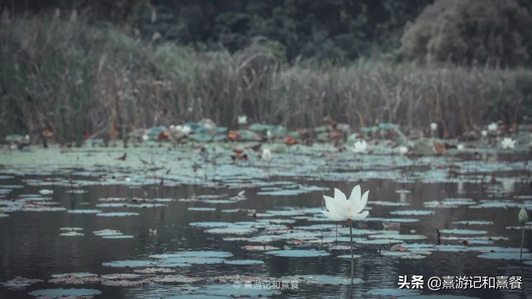 去了八次厦门之后，告诉你这30件事最值得