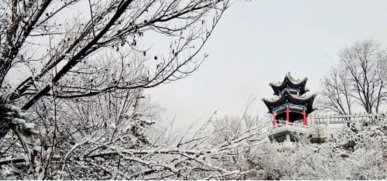 山西省左权县：春雪映太行 公园美如画