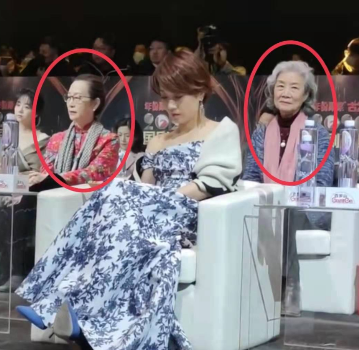 马伊琍陈数参加国剧盛典被指坐姿散漫，与后排