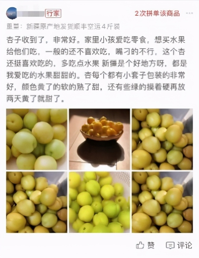 “杏王”出疆記