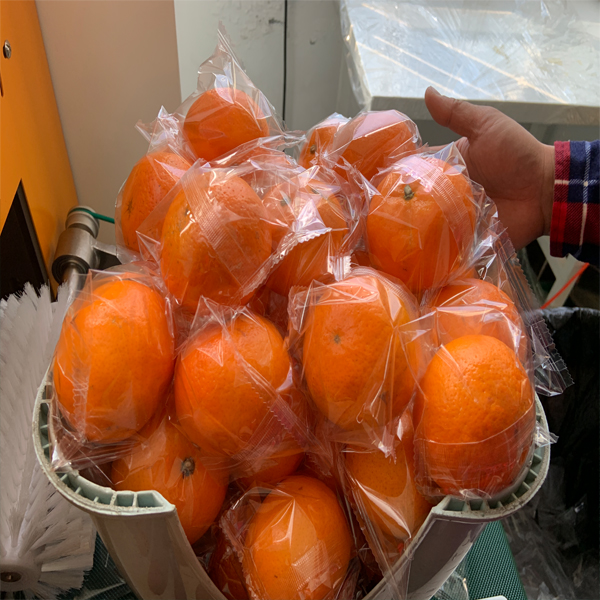 沃柑包装机 橙子包装机 水果包装机厂家