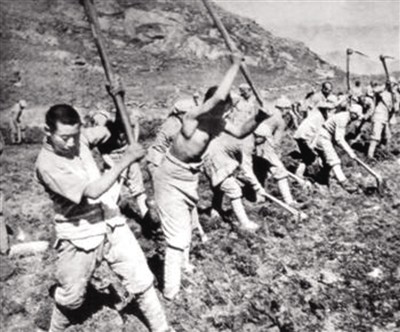 �Աȹ����ٱ���ʳ���������߾�׼Ԥ�ԣ����񵳱ذܣ���ž���ʤ