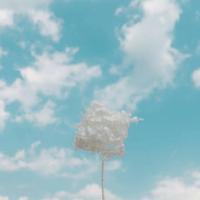 超燃的励志文案，激发斗志，让你满血复活图片