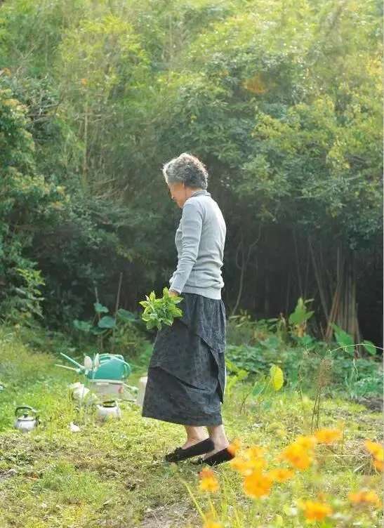 日本女人精致！带你看74岁家庭主妇生活，穿衣轻熟风高级感十足