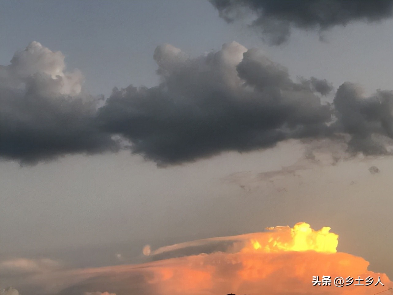 今年八月十七秋分，俗语：“秋分秋不分，来年人吃黑”，啥意思？