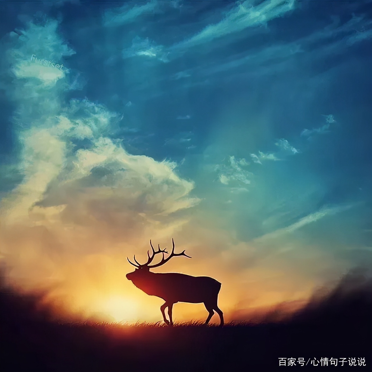 奋斗励志的句子：激励自己努力奋斗的励志短句图片