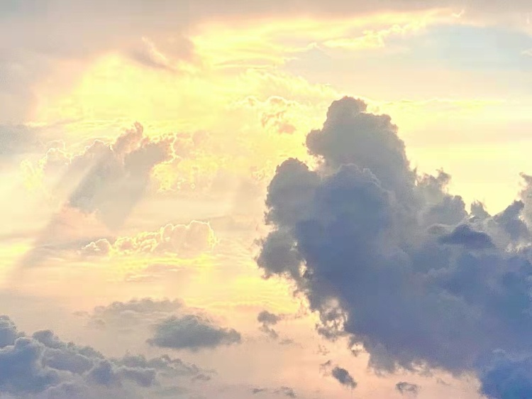 《九月的天空》作者 王峰