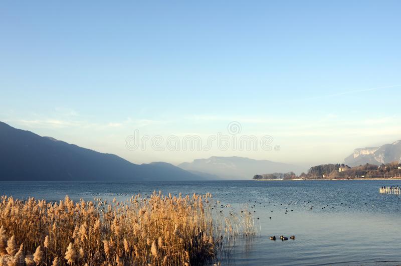 在自媒体平台的23天我的收获和感受 || 以及新手建议