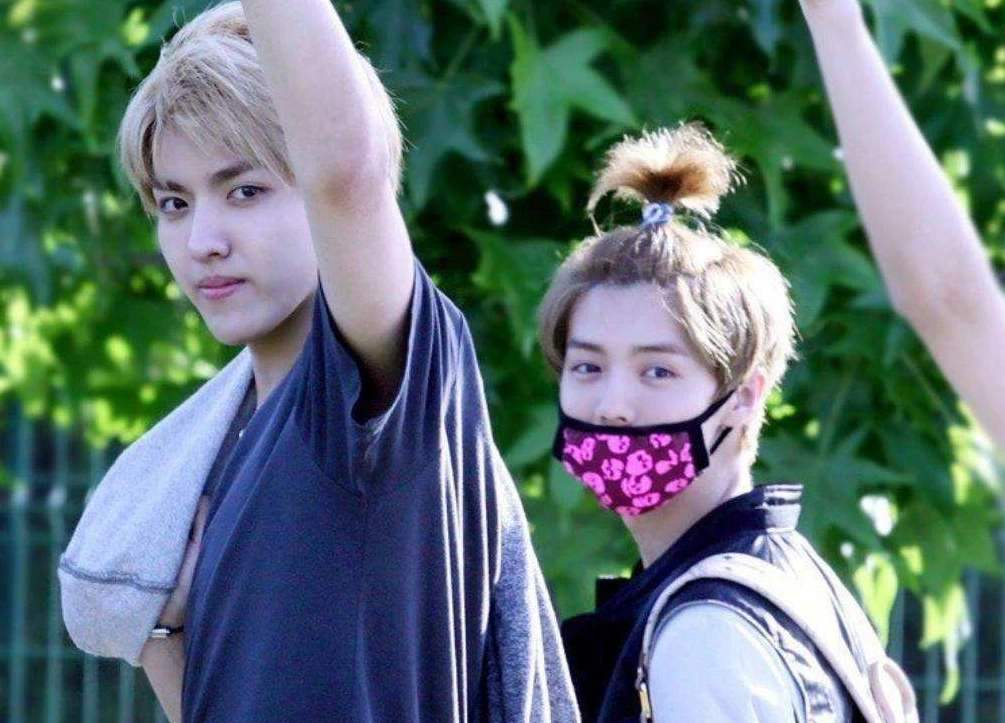 " I am an actor " : We ought not to mock Li Wen to writing brush really, he also is only " commodity " just