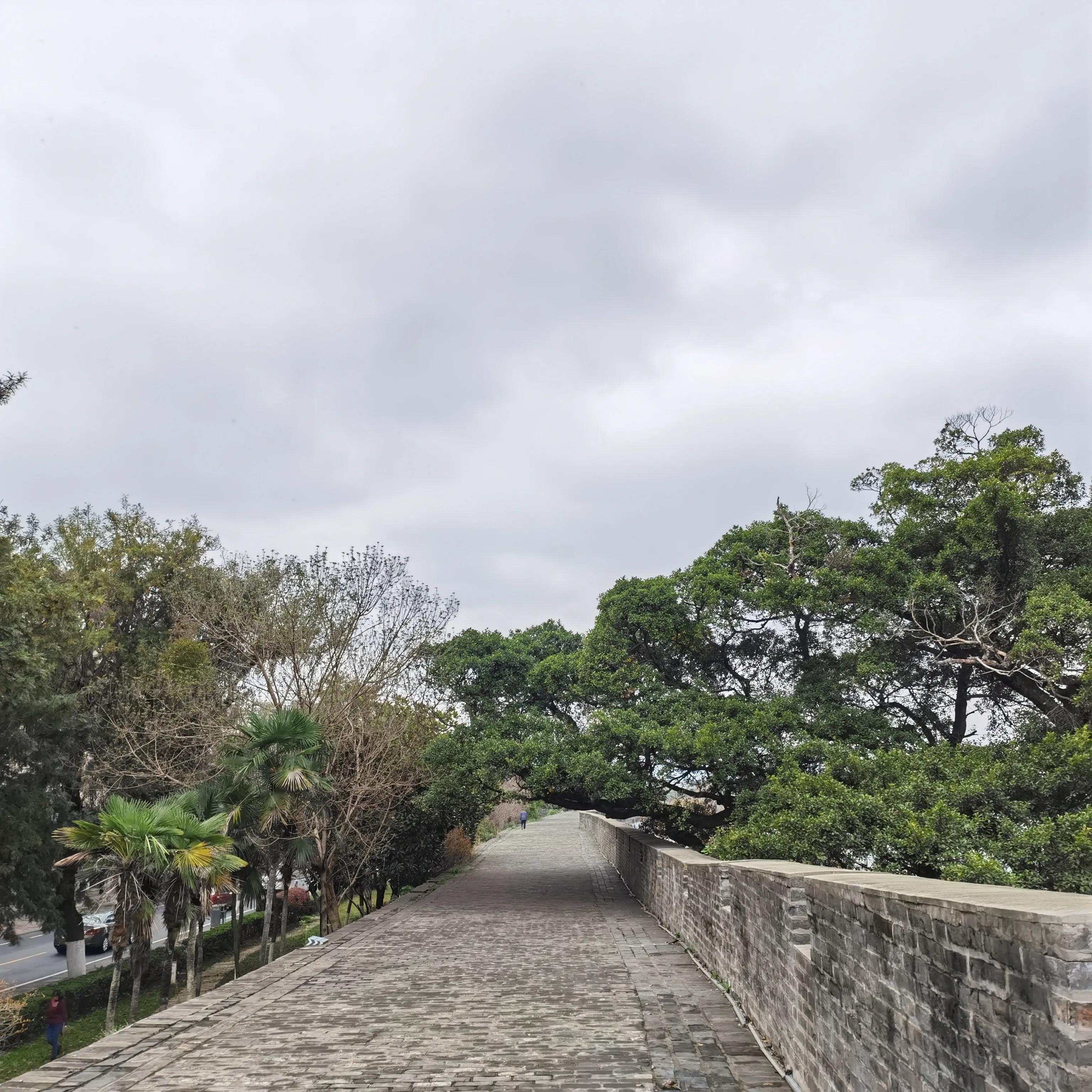 感谢有识之士富于远见，才得以完好保护赣州古城墙面貌，成为江南宋城一道倩丽风景线