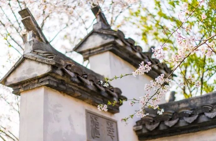 带你领略古诗中的四季之美-第1张图片-非凡网