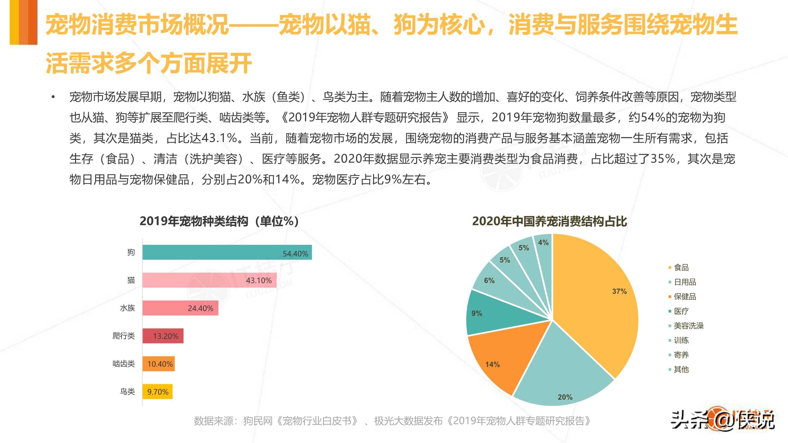 IT桔子：2020年中国宠物消费市场分析报告