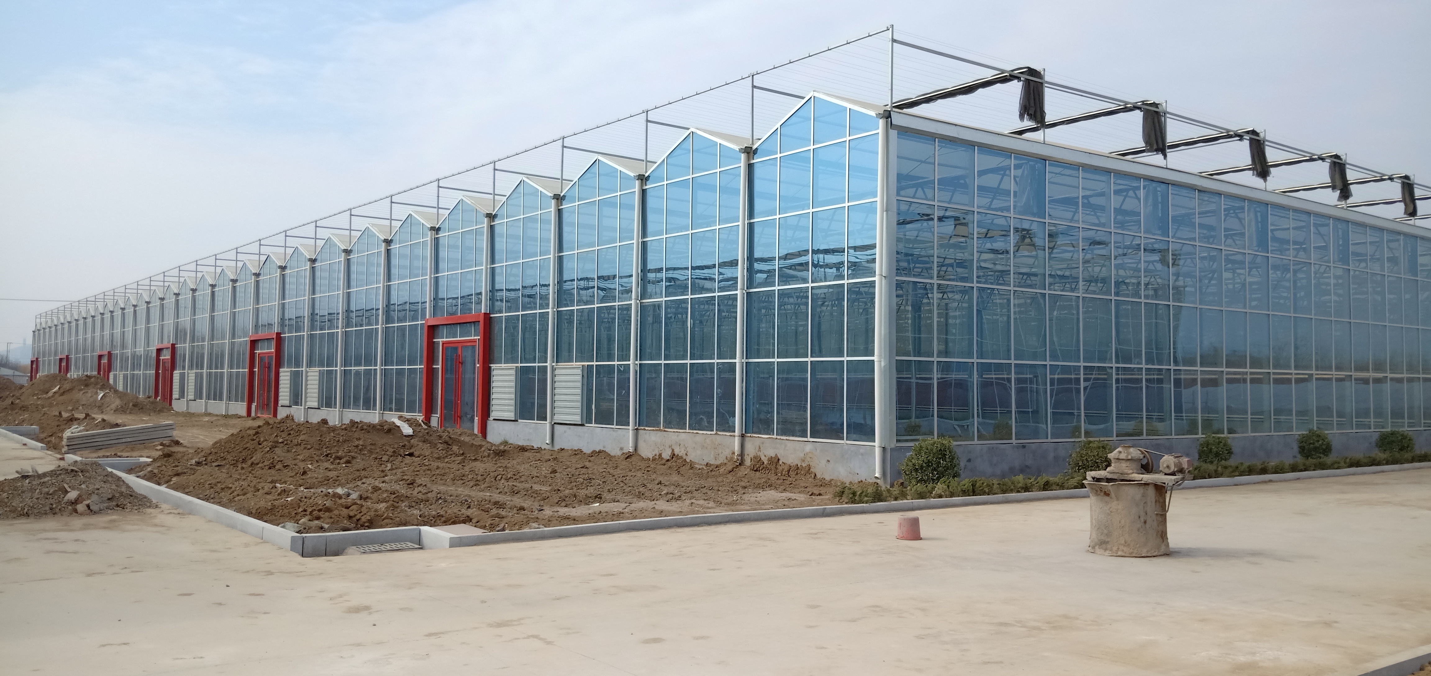 连栋温室大棚的具体造价同样式,比如是薄膜连栋温室,阳光板连栋温室