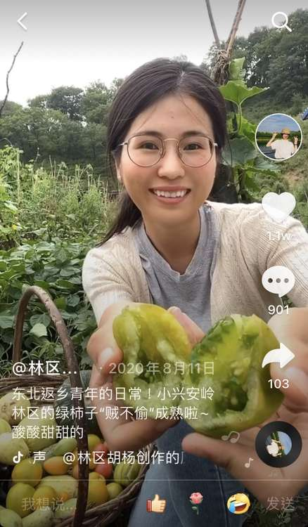 95后女孩“隐居”小兴安岭采蘑菇，网友：把日子过成了诗