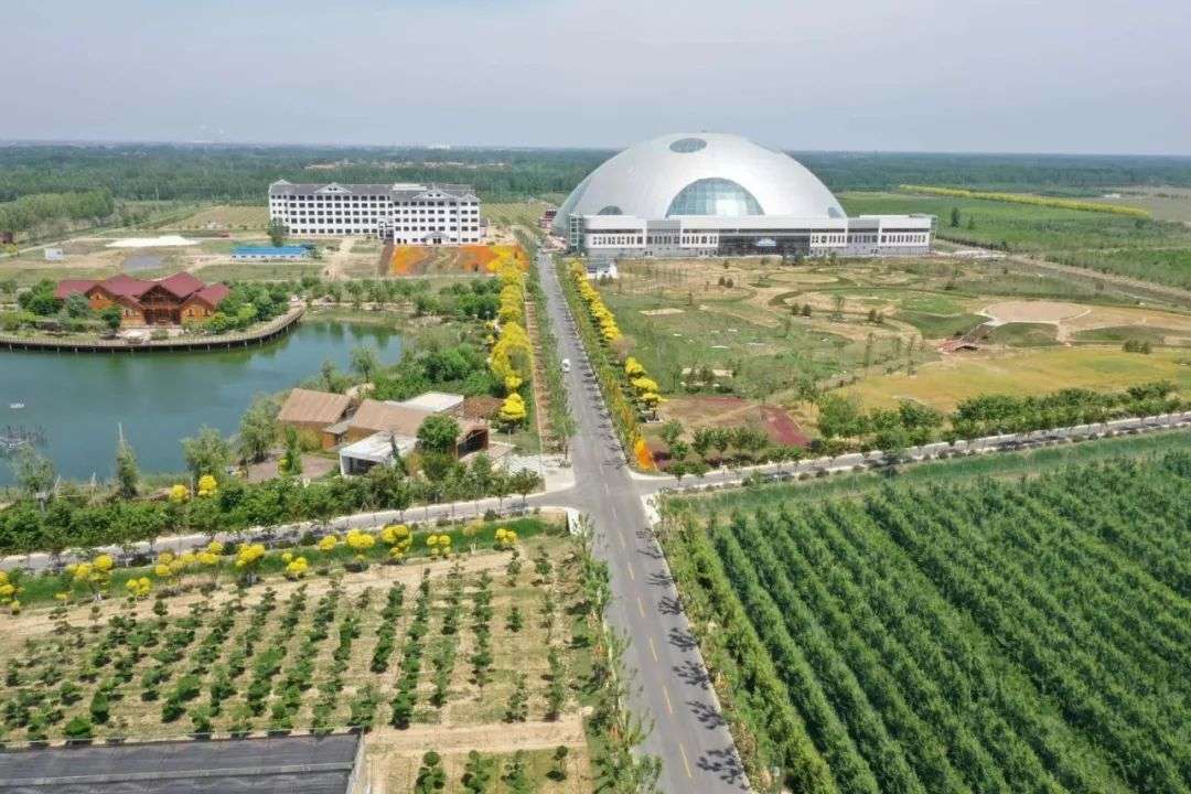 经济地位居于全国第三，却挡不住人才流失，山