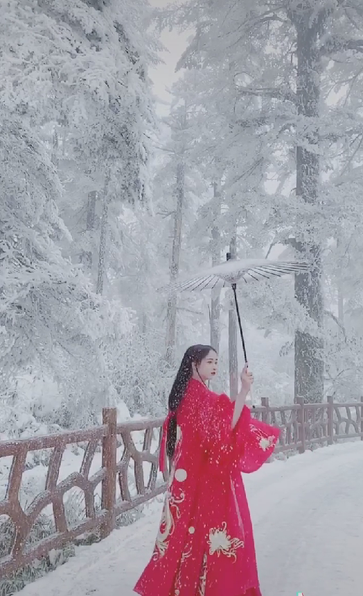 Bai Xue flushs a plum, pat in snow Chinese take, netizen: Is this fairy? 