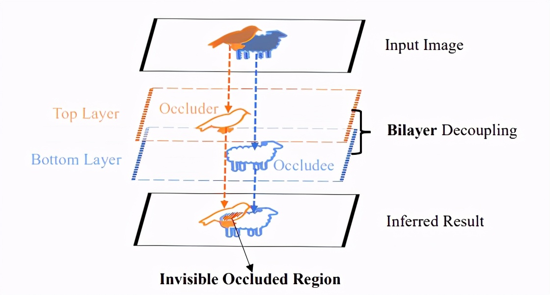 CVPR2021，BCNet：解决 two-stage 实例分割中存在的高度遮挡物体