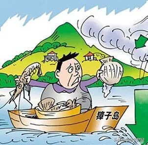 安息吧扇贝！股民如何看穿他的财务造假？