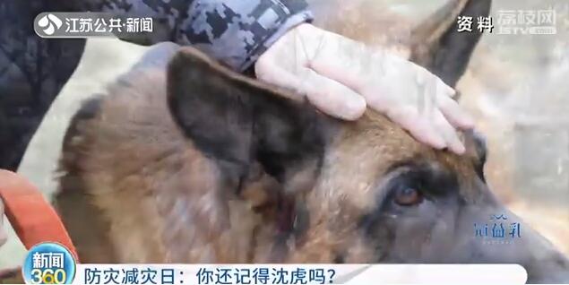 汶川地震搜救犬塑像落成 训导员落泪