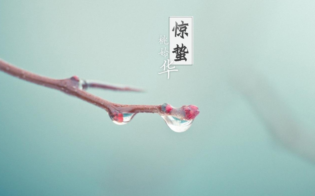 雨催惊蛰候 风作勒花开-第6张图片-非凡网