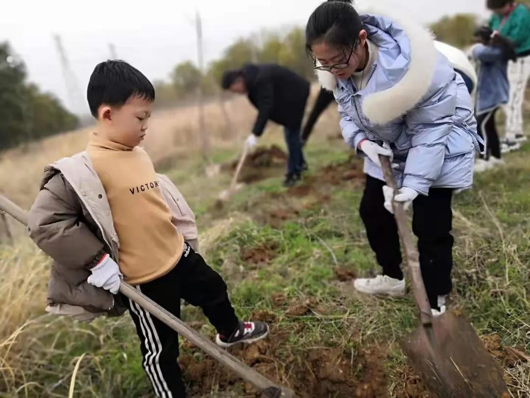 ��֮��.ֲ�̻���--�����еھ�Сѧֲ���ڻ��Ӱ