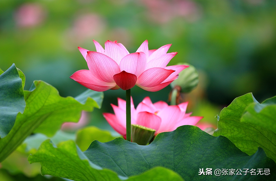 最美的冬夏秋冬四季诗词-第2张图片-非凡网