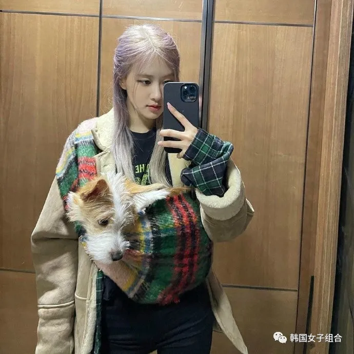 和这位女团爱豆的氛围很像的狗狗,真的随主人了