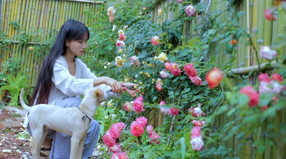 网络水军有偿删帖获刑，李子柒被指拿钱消灾，