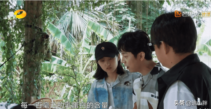《向往4》迎待遇最好嘉宾，何炅开车亲自迎接，只因彭昱畅面子？