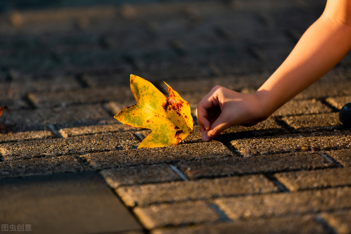这三类人，我劝你还是别做自媒体