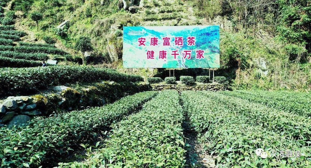 超级赞!汉滨这些农产品被评为全国名特优产品!