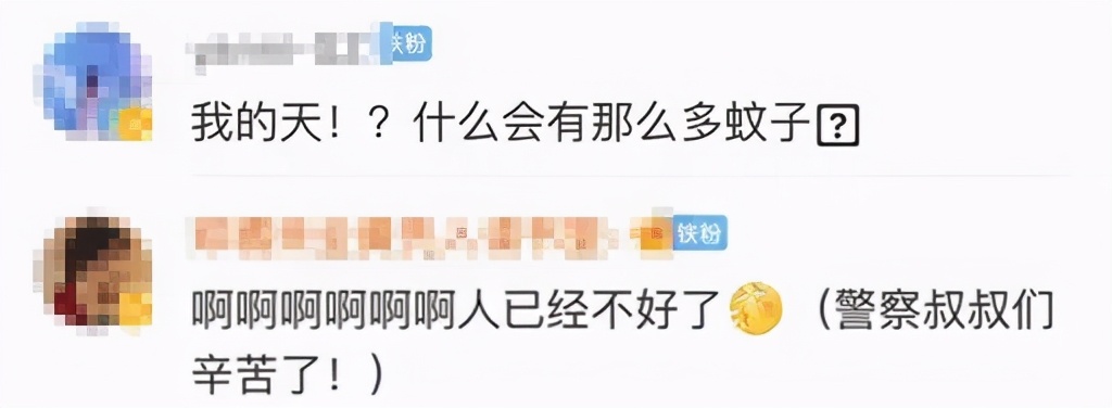 一巴掌拍死100多只蚊子！核技术都不能让蚊子