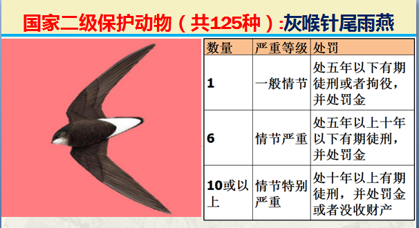 国家最新125类二级野生保护名录，图片及违法对应刑责