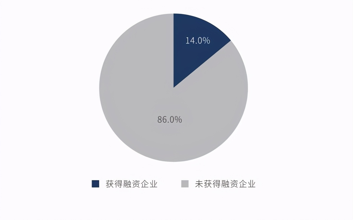 引领下一个十年的国货，也许就在这里