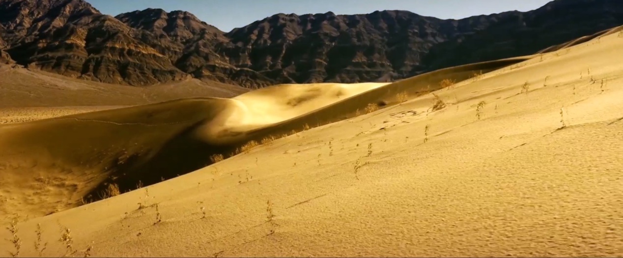 电影《36号护卫车》北京首映礼发布会
