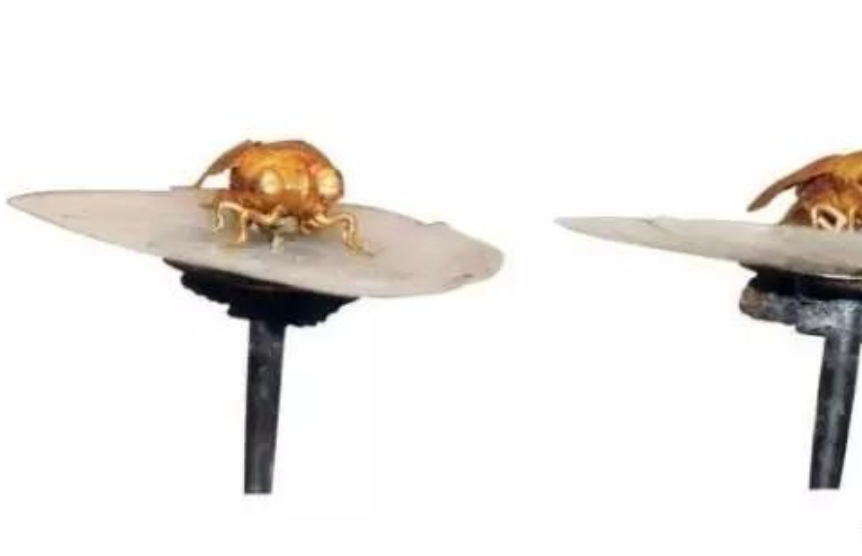 江苏工地挖到一处合葬墓，出土一文物，专家估价6亿