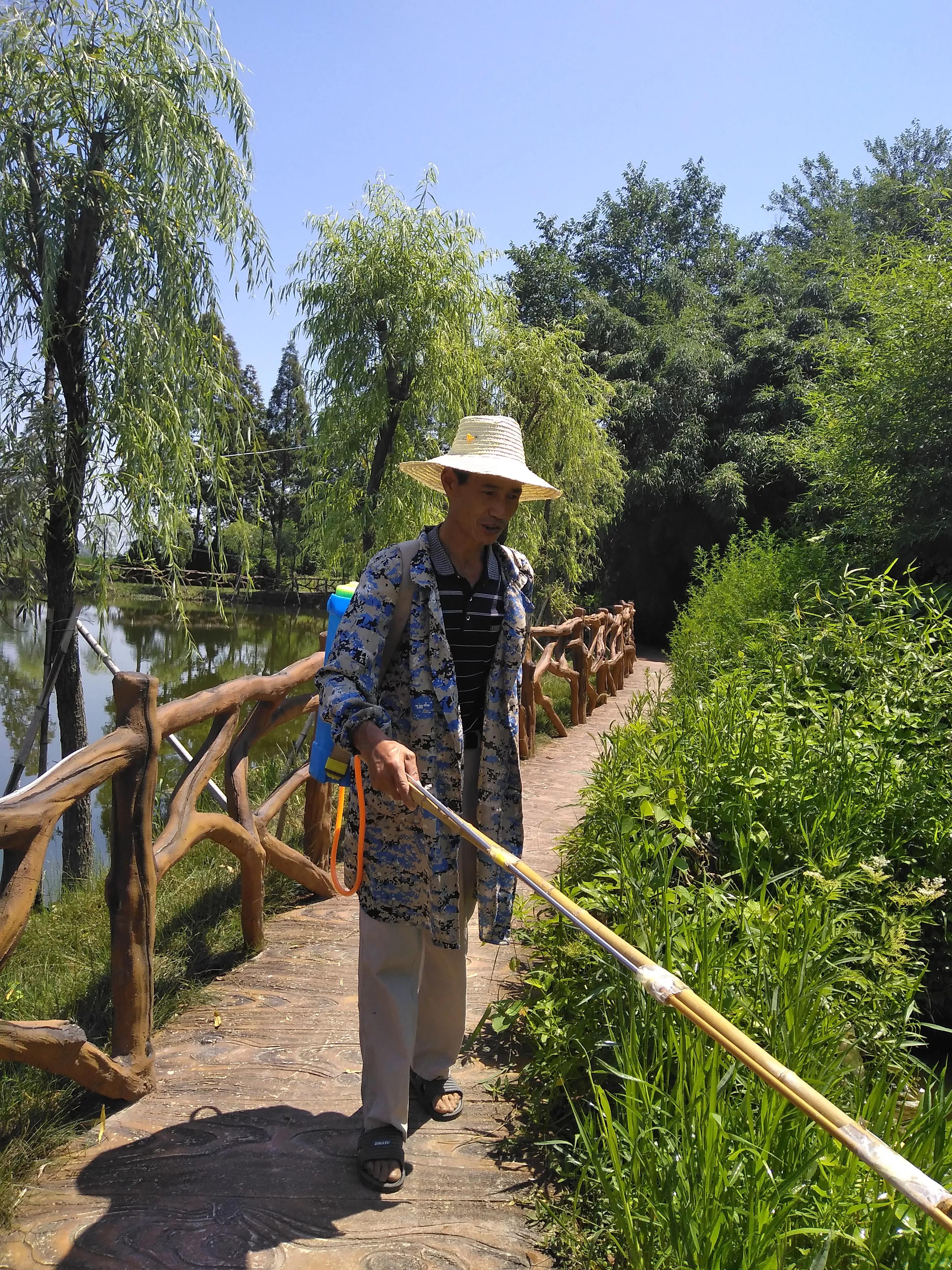 桥市镇柴湖村：化蛹为蝶不寻常