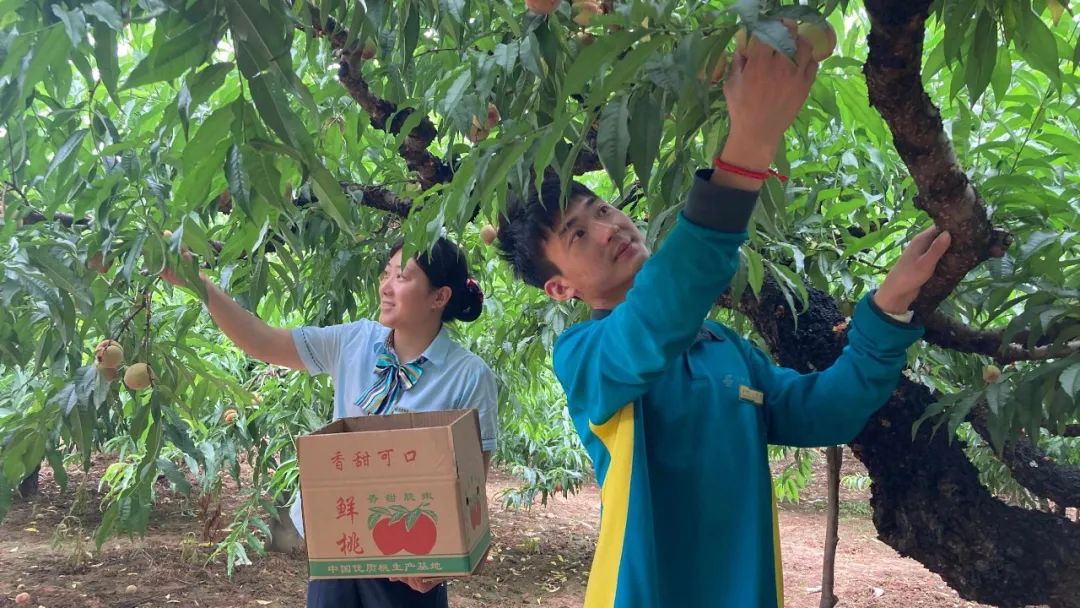 奥利给！仙桃、变蛋……农特产品搭载邮政快车奔远方！