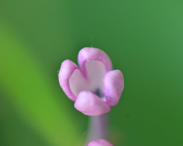 71岁老人说：人与人之间，不能看得太清楚，看得太清，你就败了