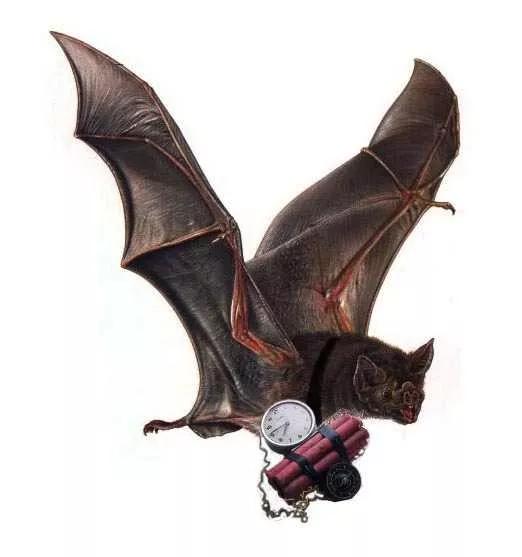 蝙蝠不仅传播病毒，它还是致命的燃烧弹