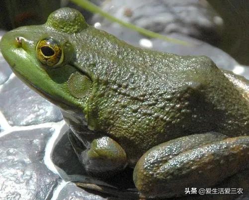 现在能闷声发大财的行业？