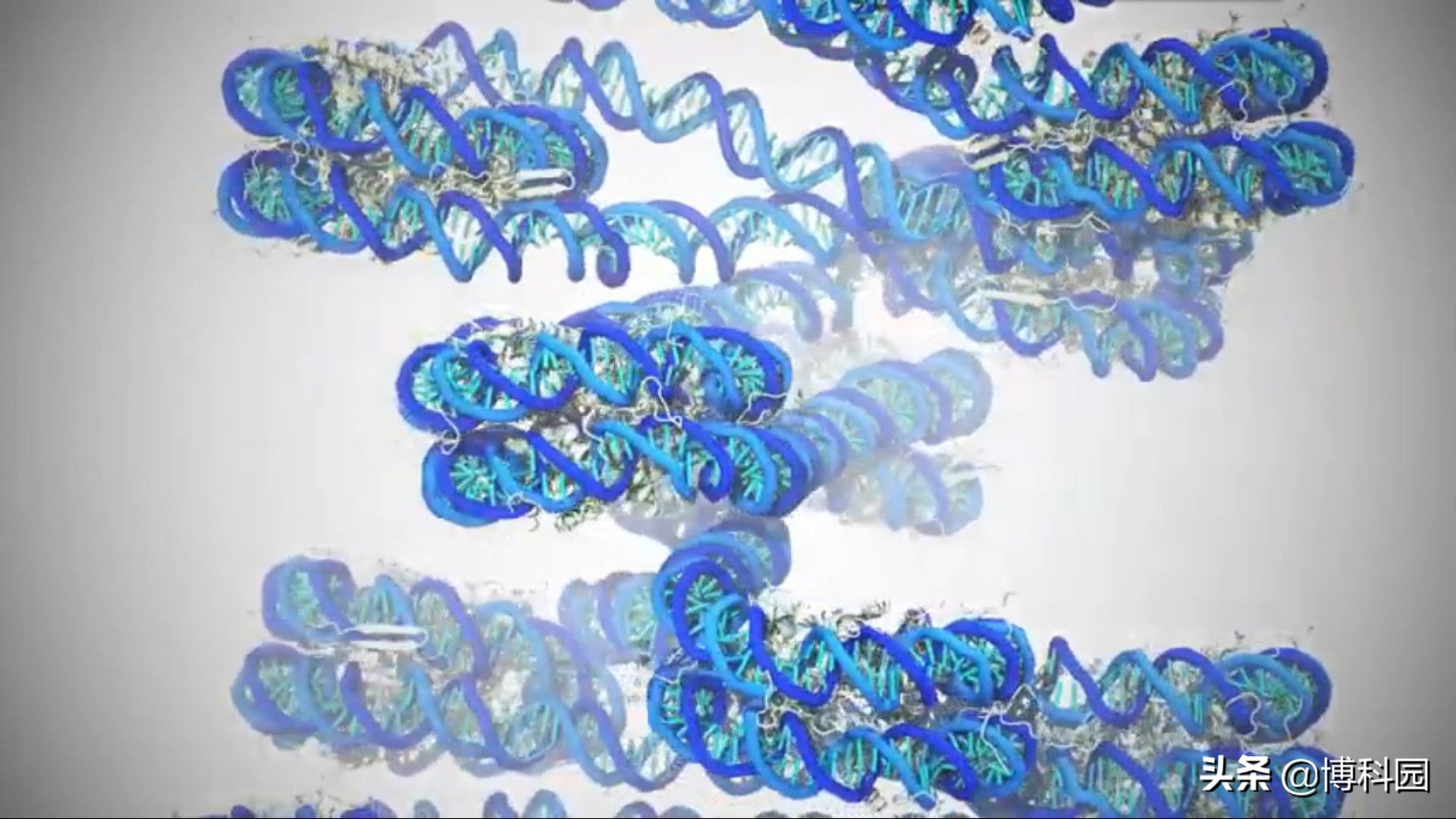 首次创造出：十亿个原子的完整DNA基因模拟！