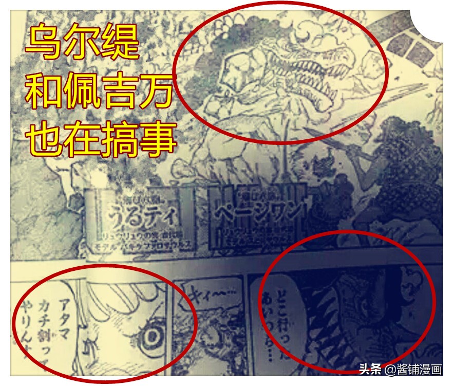 海賊王998話：遠古三角龍形態佐佐木撞飛弗蘭奇，艾尼在聽音樂