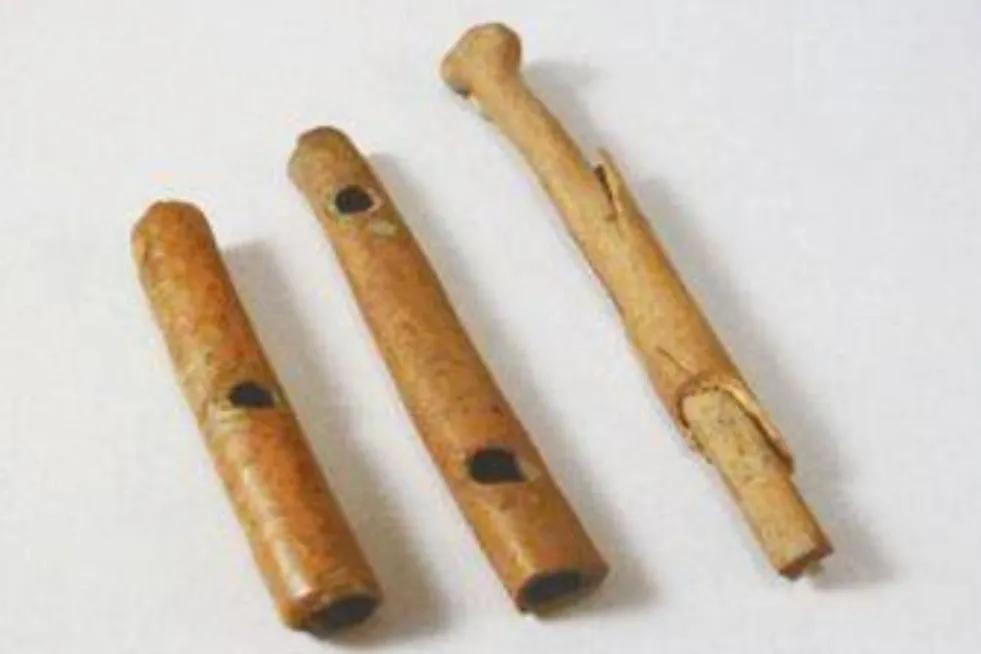 這幾種吹奏類樂器你都見過嗎？了解嗎？會吹嗎？