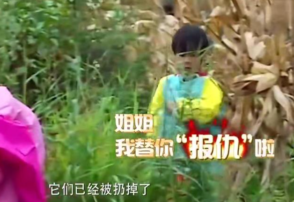 吴尊基因太过强大，8岁Max颜值引热议，笑起来和爸爸一模一样