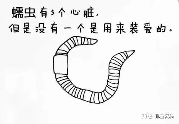 30個(ge) 有趣的科普小星空体育官网入口网站，你知道幾個(ge) ?