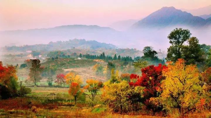 Missing these 14 maple viewing areas in November is equivalent to missing the entire autumn